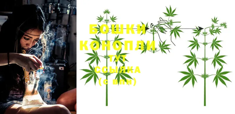 закладки  Пучеж  Конопля Ganja 